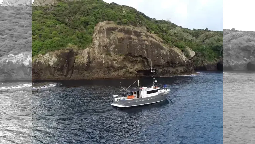 魚種格闘技戦！