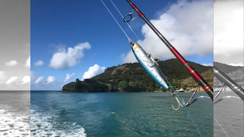 魚種格闘技戦！
