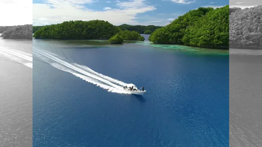 魚種格闘技戦！