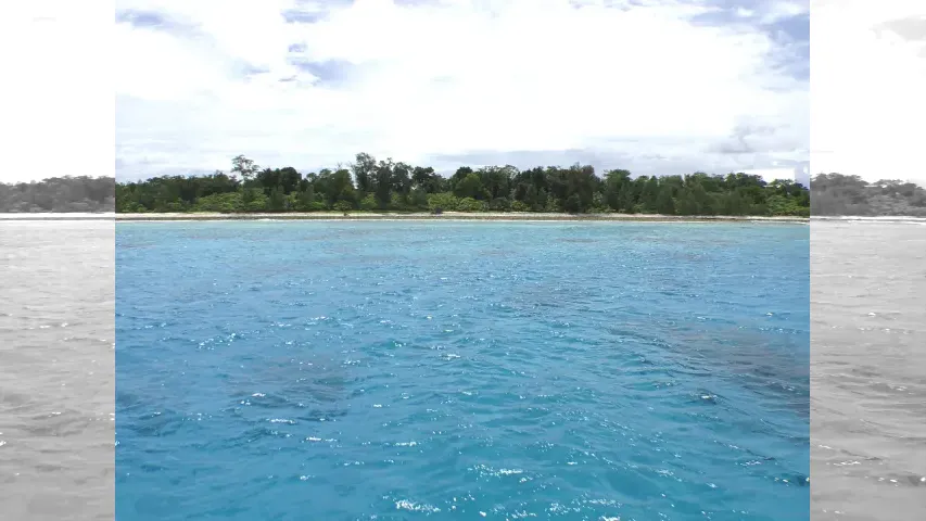 魚種格闘技戦！