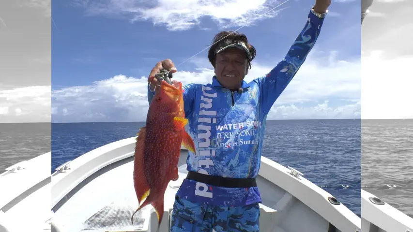 魚種格闘技戦！
