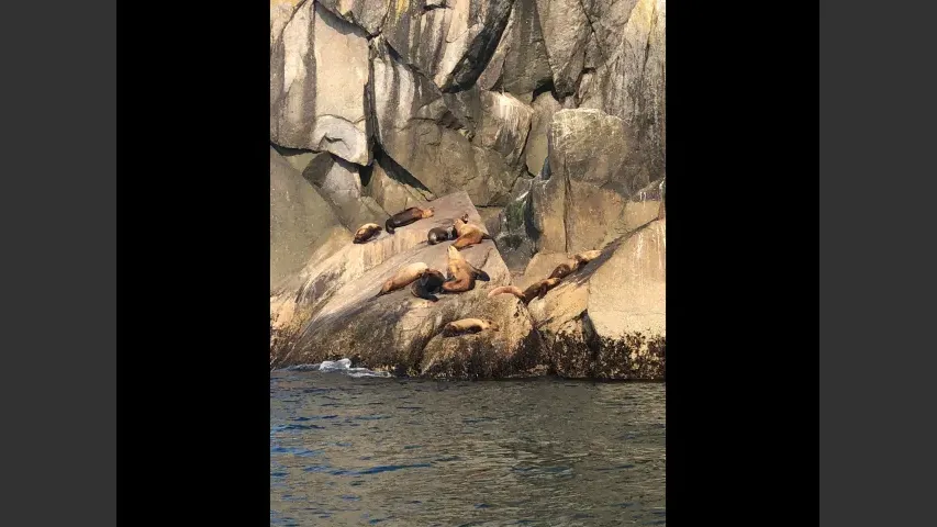 魚種格闘技戦！