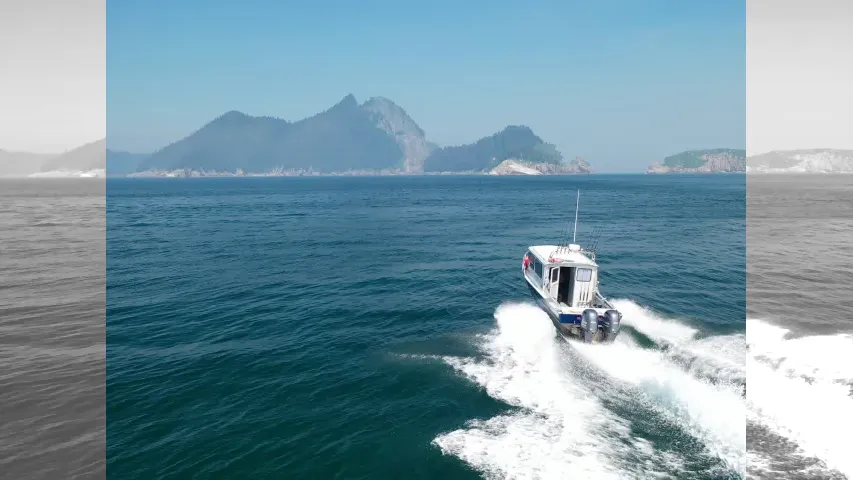 魚種格闘技戦！
