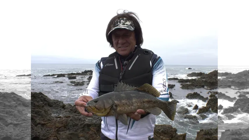 魚種格闘技戦！
