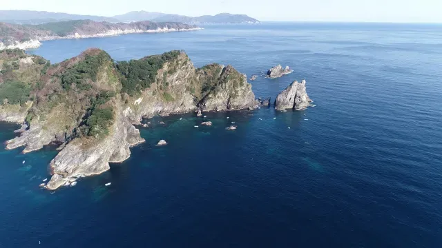 魚種格闘技戦！