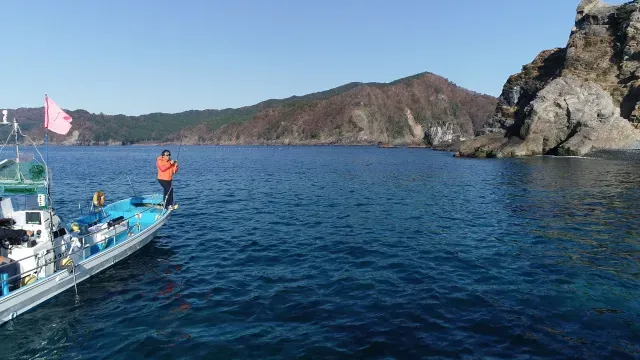 魚種格闘技戦！