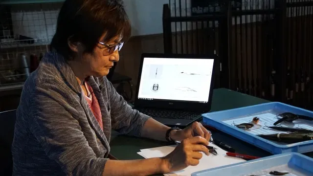 釣りの革新者 Megacomplex