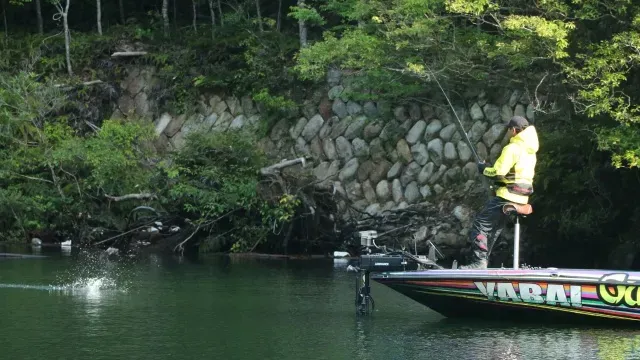 釣りの革新者 Megacomplex