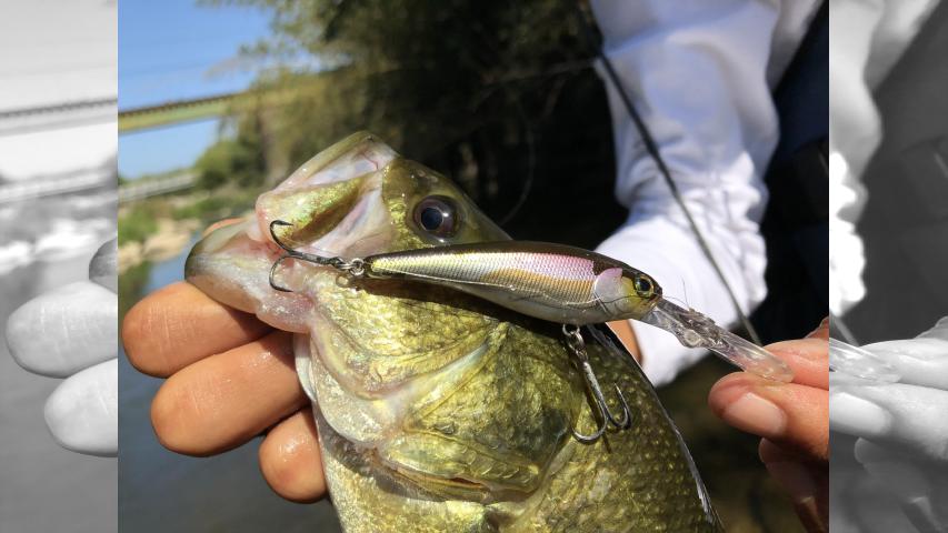 俺たちのバスフィッシングR 63 秋の府中湖 マキモノでRを捕獲するぜ！ 3