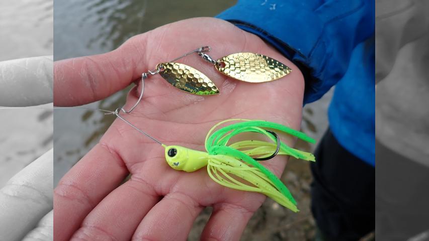 テッペンDASH！ 21 春爆の小規模河川 南国高知で冒険フィッシュをゲット！ 5