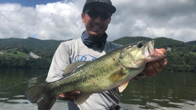 バスギャラリー 草深幸範流 多彩なルアーでアプローチする秋の相模湖攻略法 4