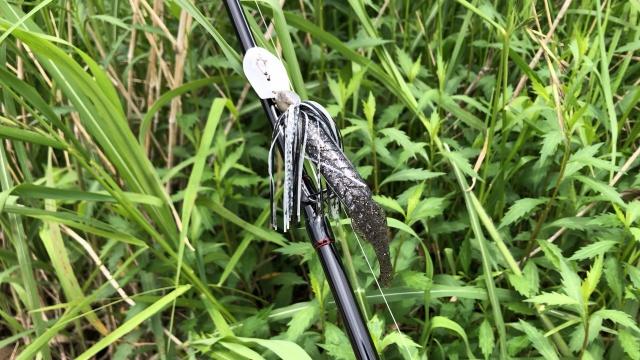 バスギャラリー 晩春のタイダルリバー攻略 3