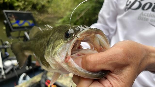 バスギャラリー 草深幸範流 梅雨の高滝湖攻略法 5