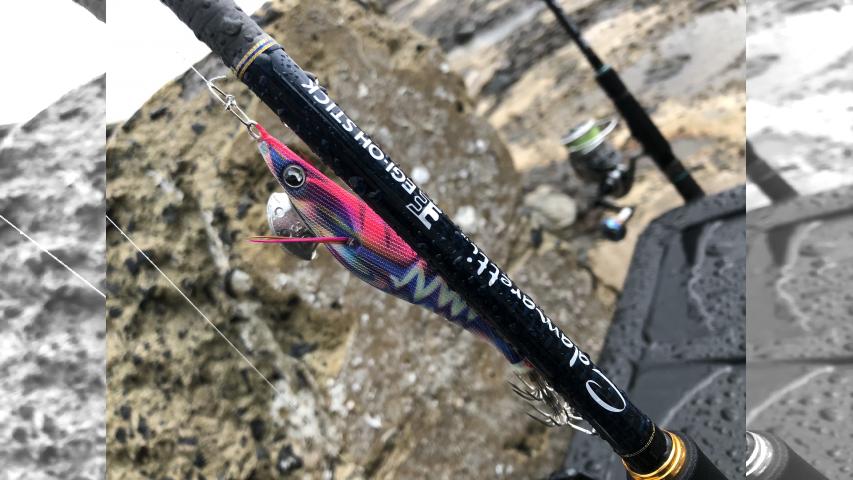 SOUL JERKER 3 北陸エリア×晩秋のエギング 6