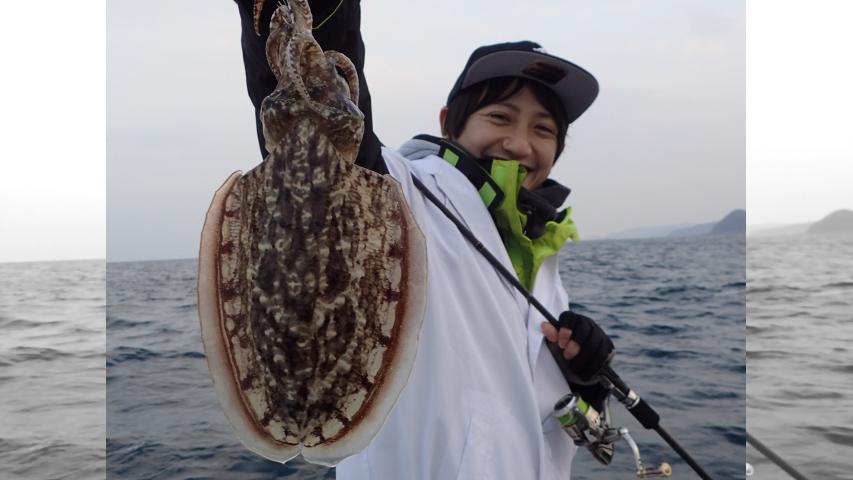 やっぱりシー研 海洋生物研究所 5 和歌山日ノ岬エリア 会長直伝！冬季軟体合宿！！ 6