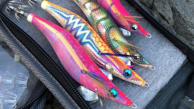 SOUL JERKER 6 実践編 和歌山県中紀エリア×夏イカ攻略 4