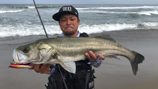 ヒラメイト 第26局 高水温期のサーフはオフシーズン？夏でも釣りしてみたら何かが起こる説 5