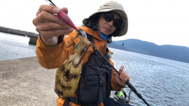 SOUL JERKER 8 実践編 宮崎県日南エリア×晩秋のエギング 4