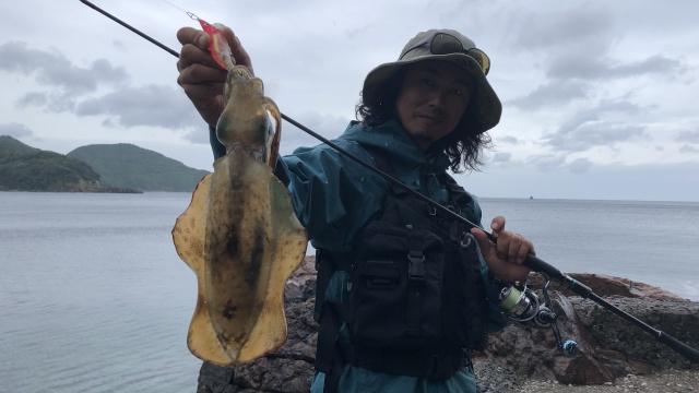 SOUL JERKER 10 実践編 愛媛県南予エリア×梅雨のエギング 4