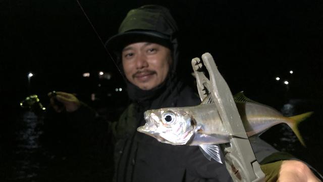 Azing Lab.2nd 66 大博打！初夏のデカアジ知夫里島攻略 8