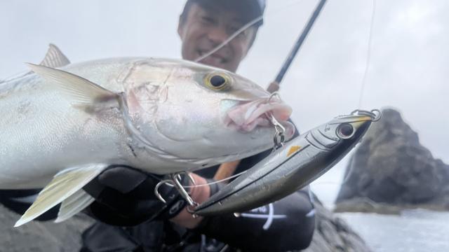 メタルバスター ROUND34 愛媛県武者泊のカンパチ 6