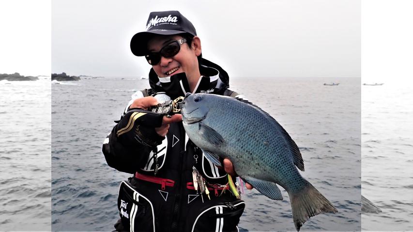 楽釣楽磯宣言 46 和歌山県樫野エリア 4月の磯釣りは苦行宣言 釣りビジョン