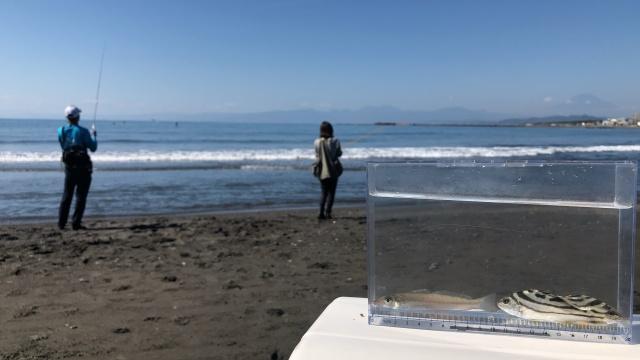 釣って関東！ 1 ルアーロッドで釣りをしてみよう 5