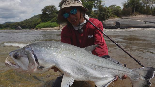 世界釣旅 TRIP3 コロンビア オリノコリバー ピーコックバス編 6