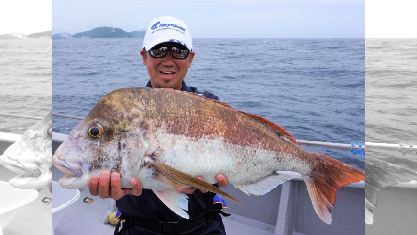 こちら東海です。 174 巨大マダイを狙え！伊勢湾タイラバゲーム 13