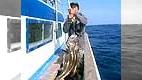 沖釣りギャラリー 巨大魚イシナギを釣る 日本記録への挑戦！