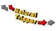 Natural Tripper Trip-11 「広島県 11月の川」 