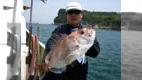 船釣り一番 その20　「香川のマダイがやっぱり一番！」