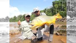 ハイパーエキスパート 南米ボリビア・黄金に輝く魚ドラド 第1弾 アグアネグラ川