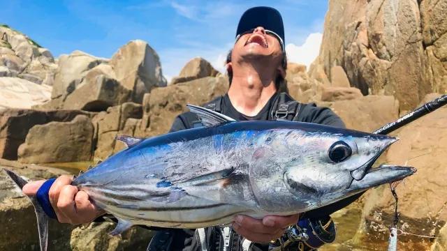 メタルバスター ROUND26 VS高知県柏島の大型魚