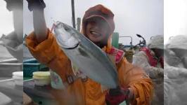 大漁！関東沖釣り爆釣会 その43 江ノ島沖のイナダ 