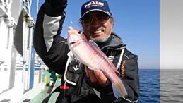 沖釣りギャラリー 小田原沖で高級魚アマダイを狙う
