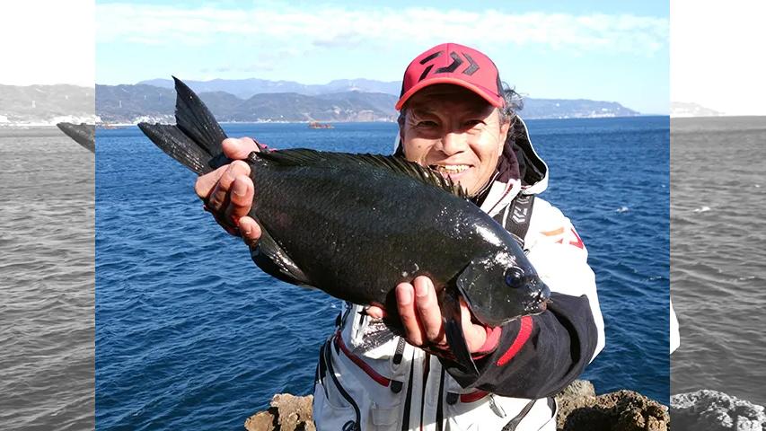 磯釣りギャラリー 冬の伊豆半島 気難しいメジナの対処法