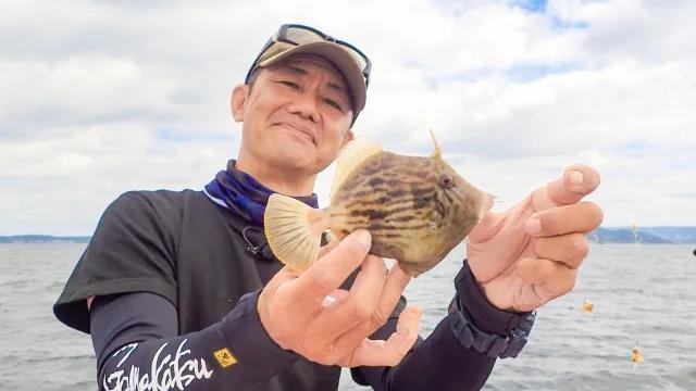 G WORLD 24 シーズン初期のカワハギ 激戦区・東京湾の数釣りに挑む！