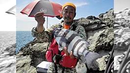 旬の釣り 和歌山県初夏の石鯛釣り