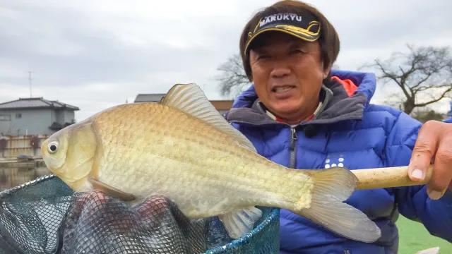 武蔵の池 冬の管理釣り場攻略