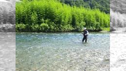 伝心伝承  103 島根県匹見川～自然に溢れる夏の香り～