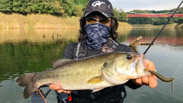 Big Bite Story 153 ターンオーバー攻略 秋の高山ダムに初潜入 釣りビジョン Big Bite Story 153 ターンオーバー攻略 秋の高山ダムに初潜入 釣りビジョン