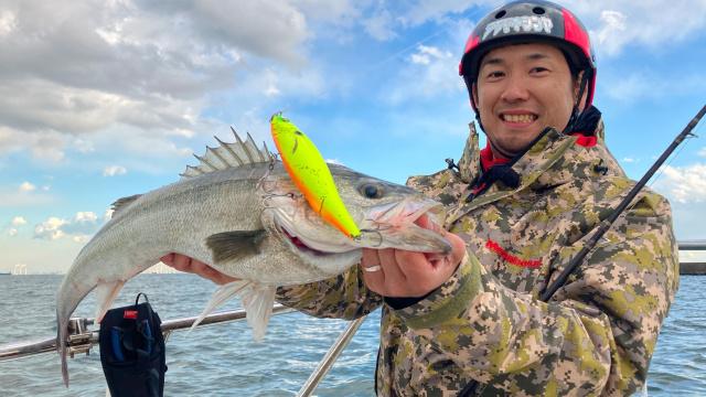 釣りビジョン