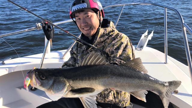 釣りビジョン