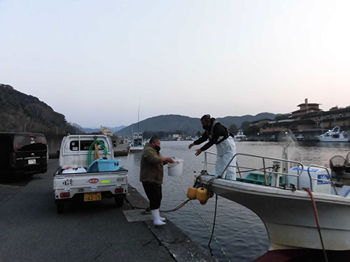 船長が到着し餌のイワシを積み込む