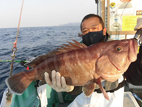 いきなり“本命”マハタ!帰港後計量2.9kg
