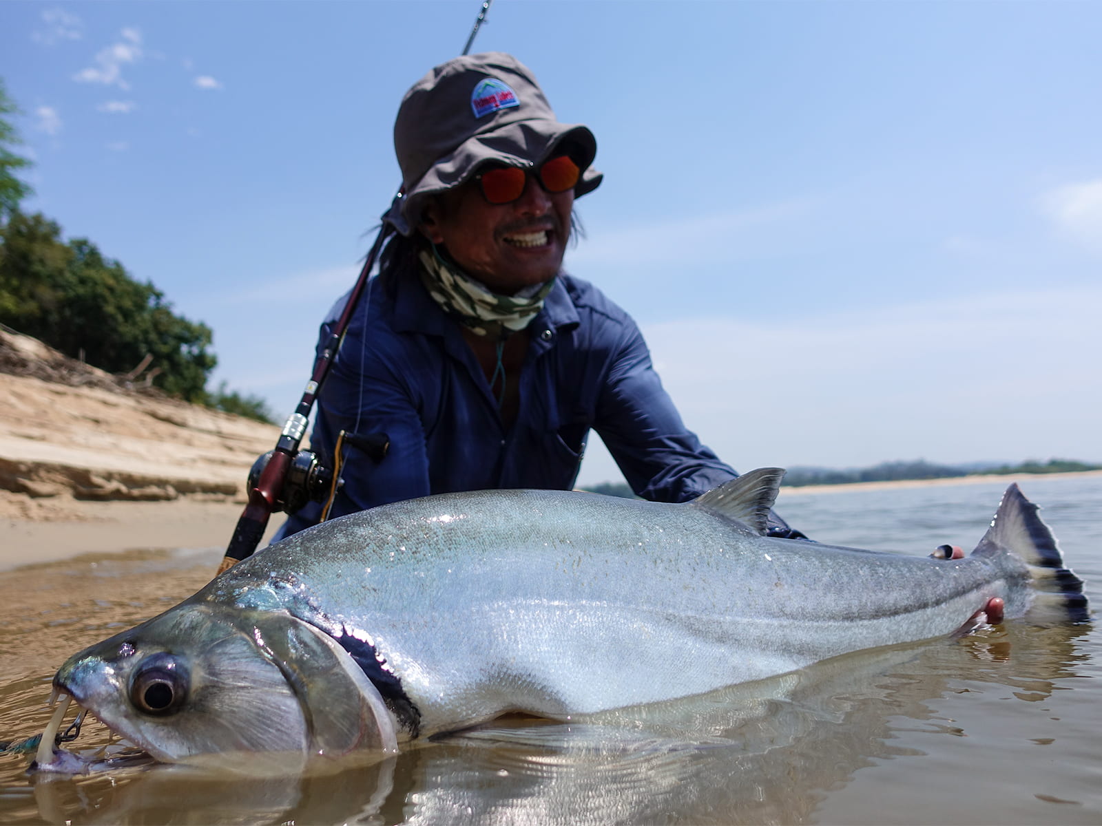 南米大陸に生息する牙魚「カショーロ」。こちらは過去のコロンビア釣行でキャッチした個体。南米大陸に「カショーロ」は数種類いるそうだが、オリノコ川水系に生息するのは「ペーシュ・カショーロ」｛※犬の歯を持つ魚と言う意味｝、また「ハイドロック・アルマータス」｛※武器を装填したと言う意味｝と呼ばれる種類だそうだ