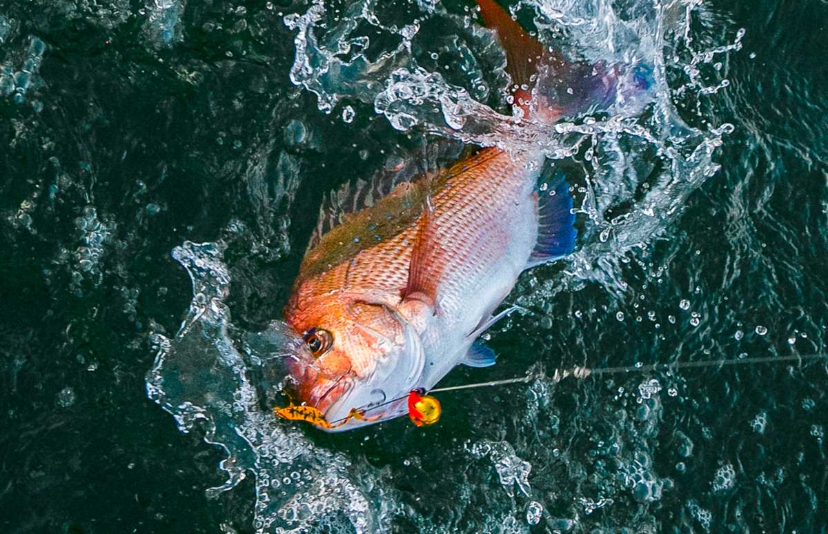 シンプルなタックルでビッグファイト！秋に向けて期待大！！日立沖の