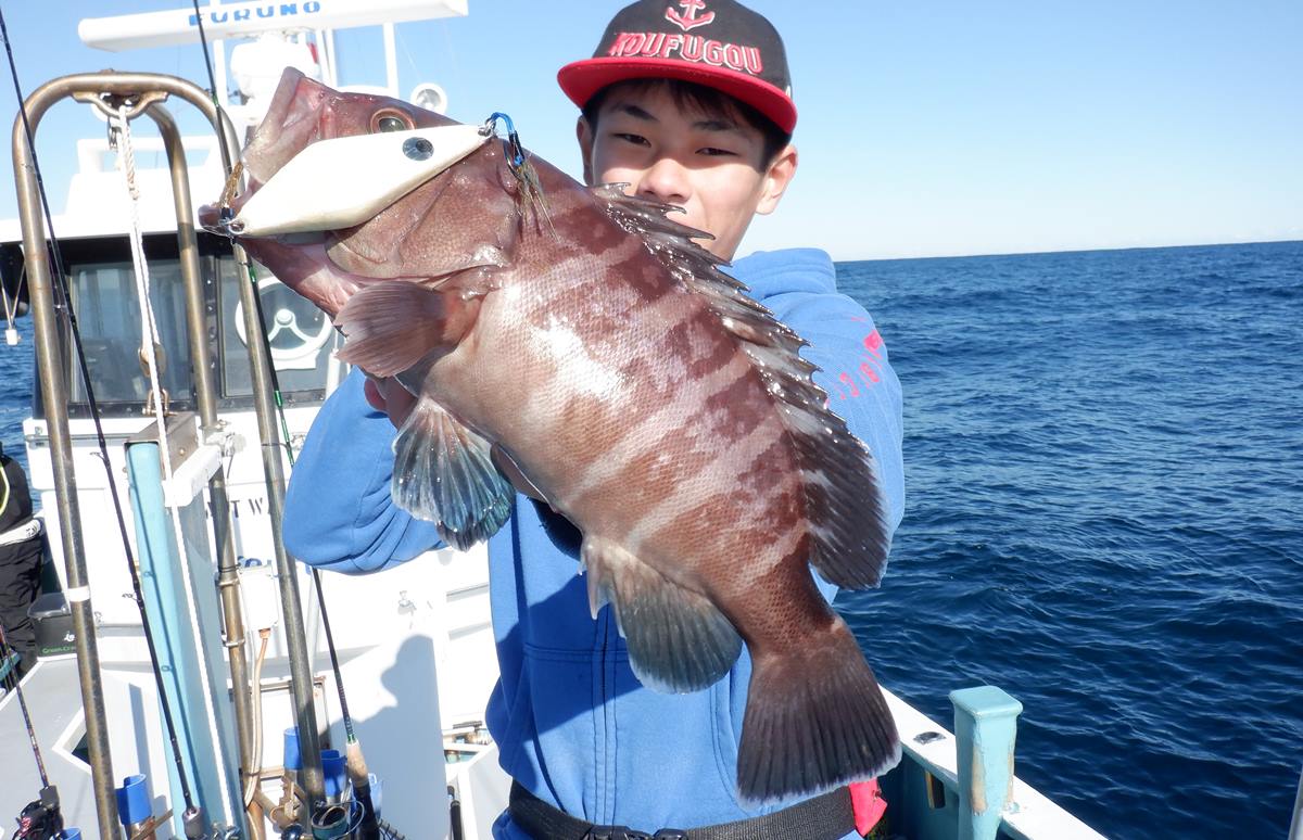 千葉県・大原沖にイワシ到来！SLJ（スーパーライトジギング）で