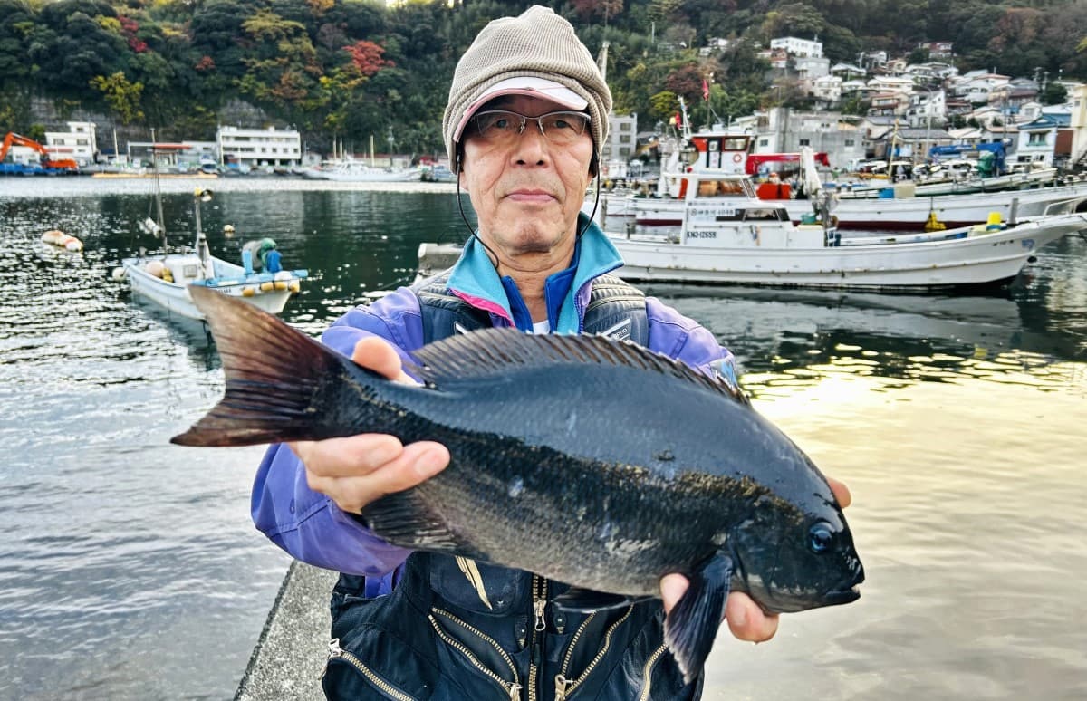 磯釣りされる方 必須 磯釣りを始めたい！初心者が知っておきたい初級